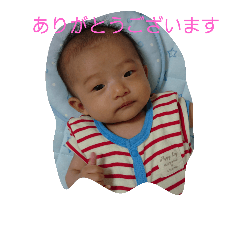 kyo-dai