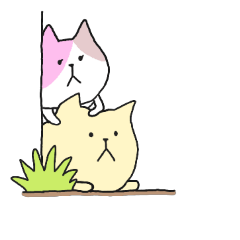 Nyaruneko3