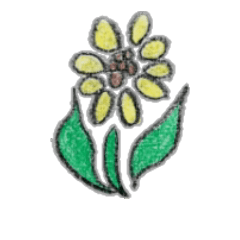 hand-painted flowers