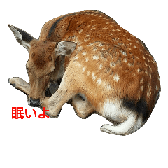 animal mode