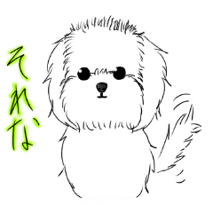 Maruchizu no due