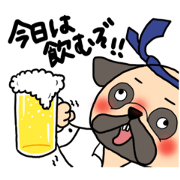 Heavy drinker Dog