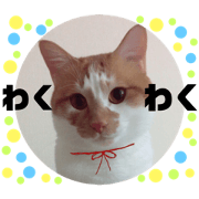 satoshi's stanpu
