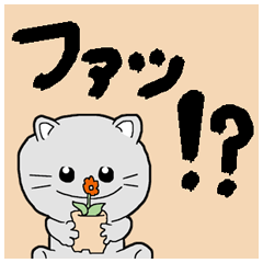 One word catc kitten flower Japanese