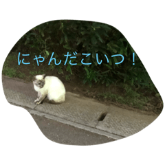 rainbowday