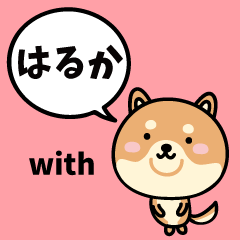 はるか with 柴犬