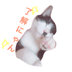 jibunyan