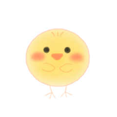 Chick Chick Cute