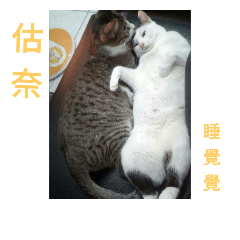 估奈