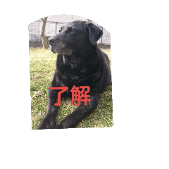 hana-tagu