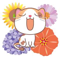 Calico cat and flower