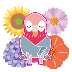 Pretty pink Galah and flower