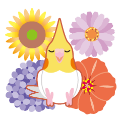 Cockatiel Cockatoo and flower