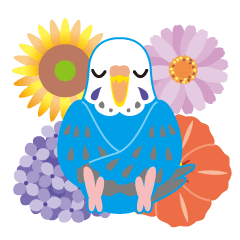 Budgerigarr and flower