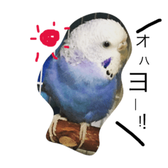 my animal stamp(aiko)