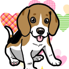 Wanko-Biyori Beagle Puppy 6