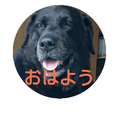 hana-k