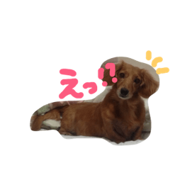 nabiChan 0323