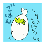 seal everyday