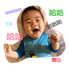 米哥的日常