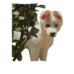 azubeans