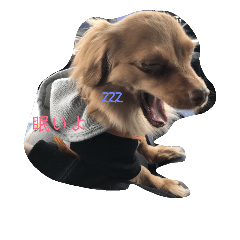 Daily moka