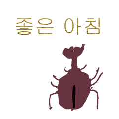 Korean Beetle