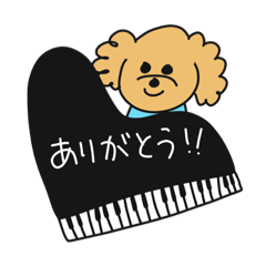 toy poodle Lulu's piano school