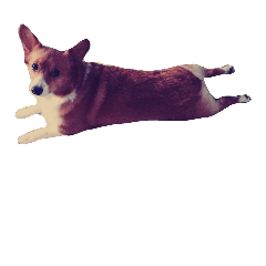 hana,cron,alpha