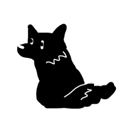 BLACK DOG.CAT