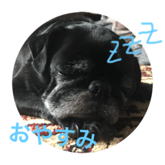 buzz stamp