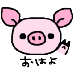 Mini pig   Butamaru chan