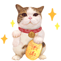 ทูนหัวของบ่าว Animated Stickers