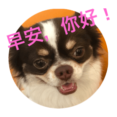 howard QQ