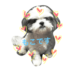 moko moko love