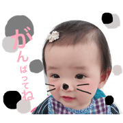 hinari0816