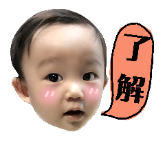 盧家寶貝們