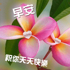 早安動態問候貼圖
