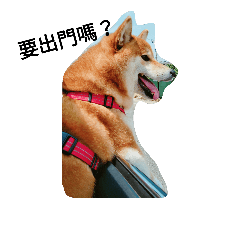 yuyu dog