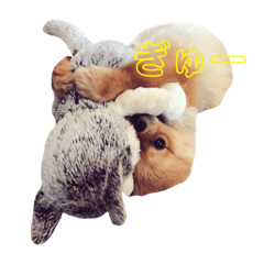 FUKU DOG