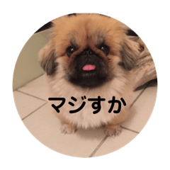 pigumo