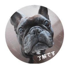 muachan's stamp