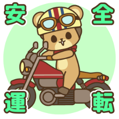 moto-bear