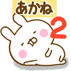 Rabbit Usahina akane 2