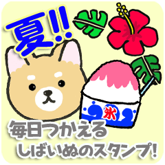 Let's use in summer! Shibainu's sticker!