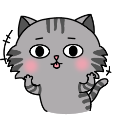 Gray cat (Judood)