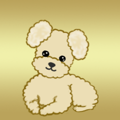 Fluffy ears toy poodle