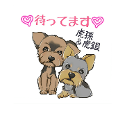 yokl+komagotokogin