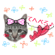 wagayanoneko2