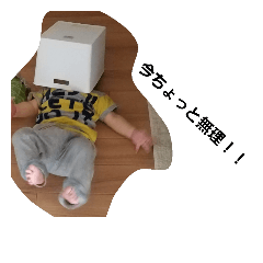 saltfacerin2